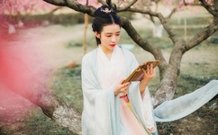 飞鱼是什么意思